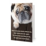 Card Pet Sympathy Bob